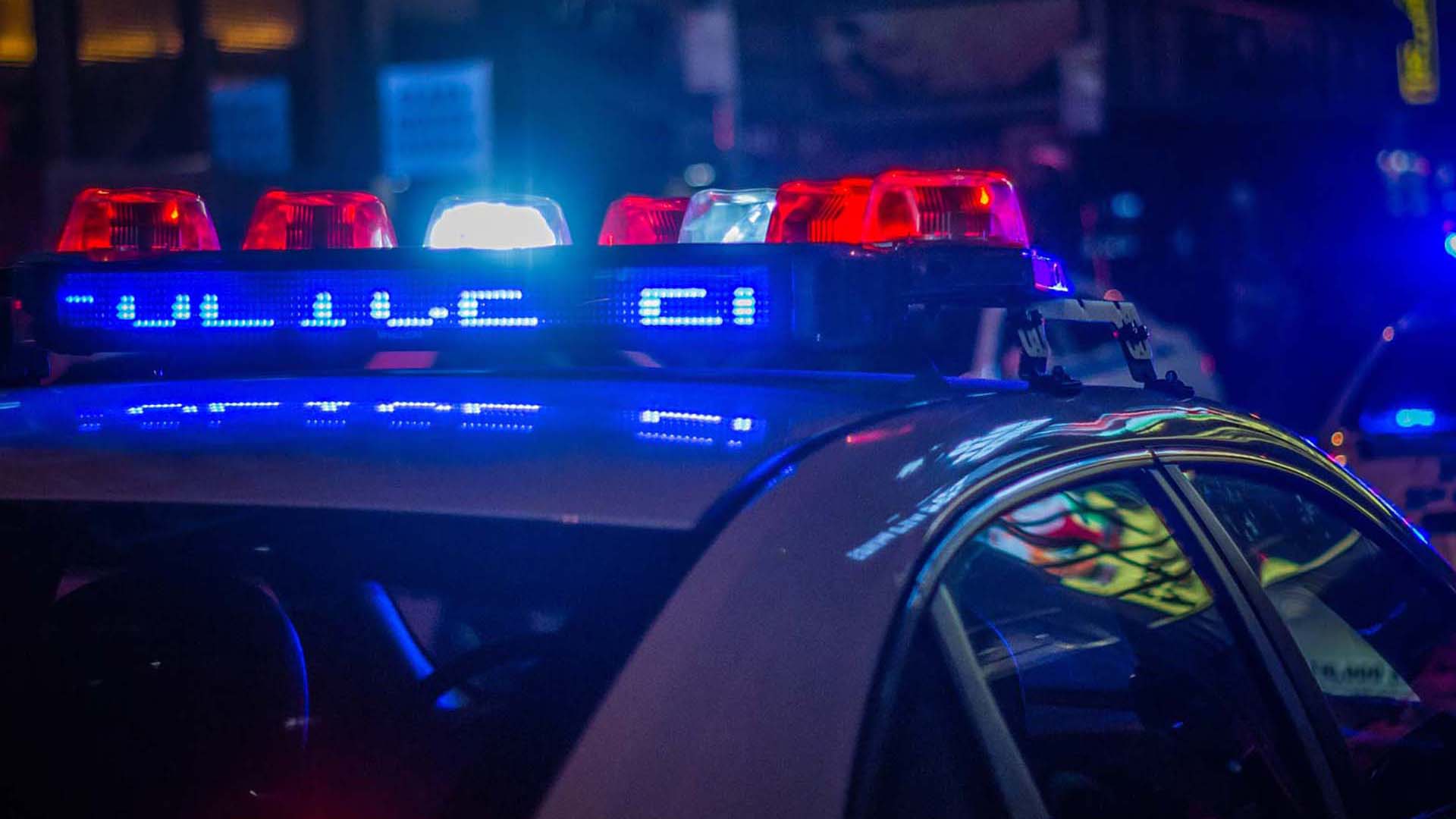 Case Studies Government Seasonal