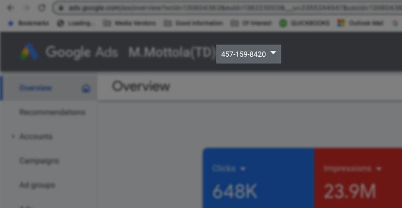 Google Ads ID